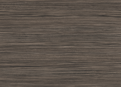 H3003 ST19