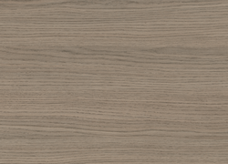 H3158 ST19